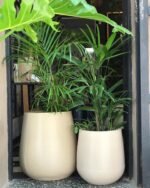 Maceta Línea Gota - Imagen 5