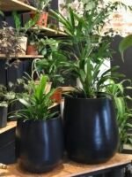 Maceta Línea Gota - Imagen 2