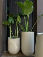 Maceta Línea Vaso - Imagen 2