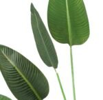 Planta Artificial Ave de Paraíso - Imagen 3