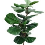 Planta Artificial Pandurata - Imagen 2