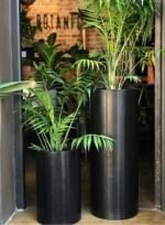 Maceta Línea Tubo - Imagen 2