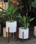 Maceta Línea Cilindro con Pie de Madera - Imagen 5